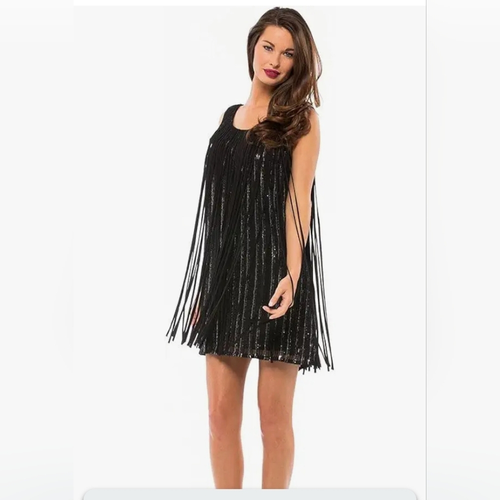 Black Fringe Dress With Silver Accents Size Large